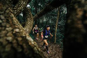 BIB: 
                            <button type="button" onclick="openModal(25667394)" class="btn btn-primary btn-sm float-right btn-popup" data-toggle="modal" data-target=".modal-high-quality">
                        <i class="fas fa-shopping-cart"></i> Add to Cart
                    </button>
                                            <button type="button" onclick="isThisMe(25667394, true)" class="btn btn-success btn-sm float-right btn-popup btn-isme hidden" data-toggle="tooltip" data-placement="bottom" title="นี่คือรูปของคุณใช่ไหม คลิกที่นี่เพื่อเอาเข้าอัลบั้ม">
                        <i class="fas fa-plus"></i> Add to album
                    </button>
                    <button type="button" onclick="isThisMe(25667394, false)" class="btn btn-warning btn-sm float-right btn-popup btn-isnotme hidden">
                        <i class="fas fa-ban"></i> Remove from album
                    </button>